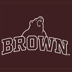 Brown University Outlined Nintendo 2DS XL (2017) Skin